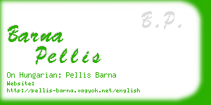 barna pellis business card